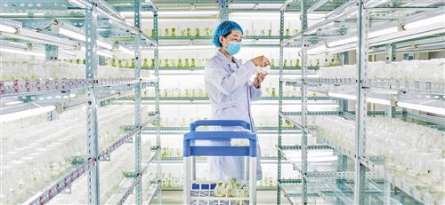 經(jīng)濟(jì)日?qǐng)?bào)多媒體數(shù)字報(bào)刊